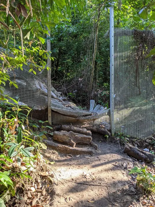 Bukit Kiara Trail - Sri Hartamas Picture 5