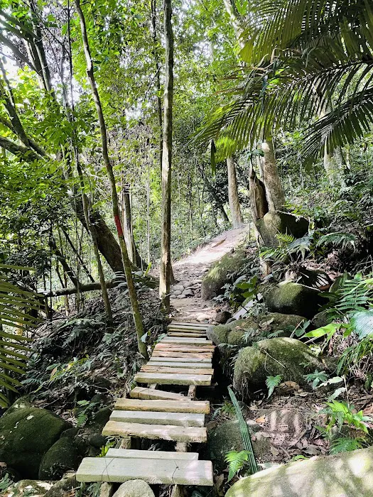Bukit Kiara Trail - Sri Hartamas Picture 9