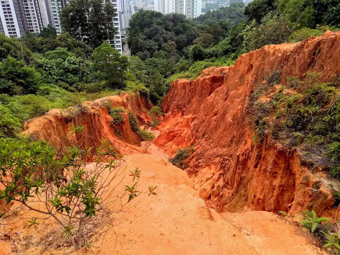 Bukit Kiara Trail - Sri Hartamas Picture 8