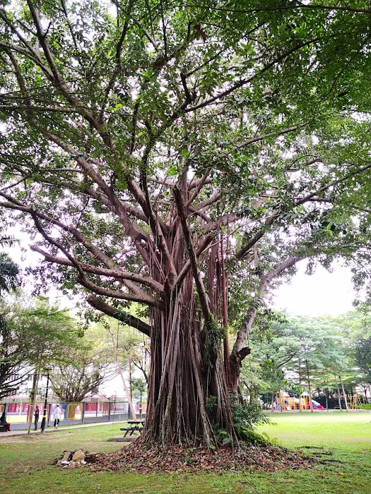 Taman Rekreasi Medan Idaman Picture 8
