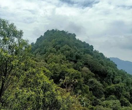 Bukit Taman