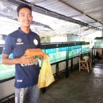 Ikan hiasan krai park