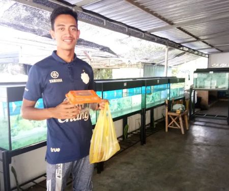 Ikan hiasan krai park