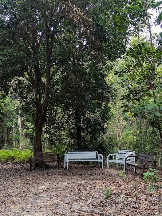 Puncak Bukit Tunggul Picture 4
