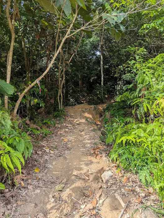 Puncak Bukit Tunggul Picture 5