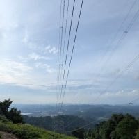 Puncak Bukit Tunggul ico