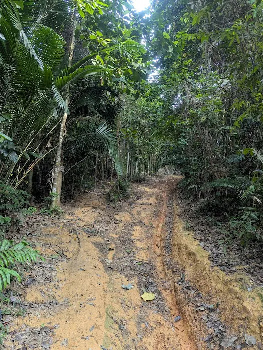 Puncak Bukit Tunggul Picture 6