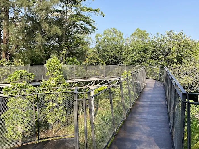 Titiwangsa Canopy Bridge Picture 6