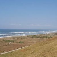 Pantai Laut ico