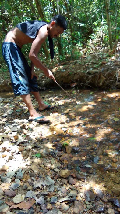 Sungai kapeh Picture 1