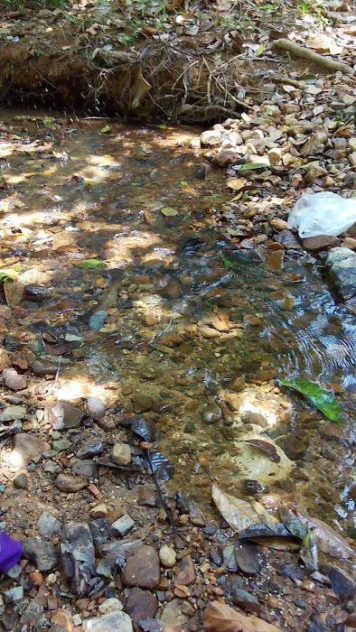 Sungai kapeh Picture 3