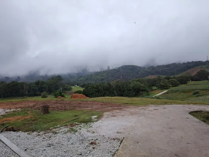Bukit Kopi Kalumpang Picture 1