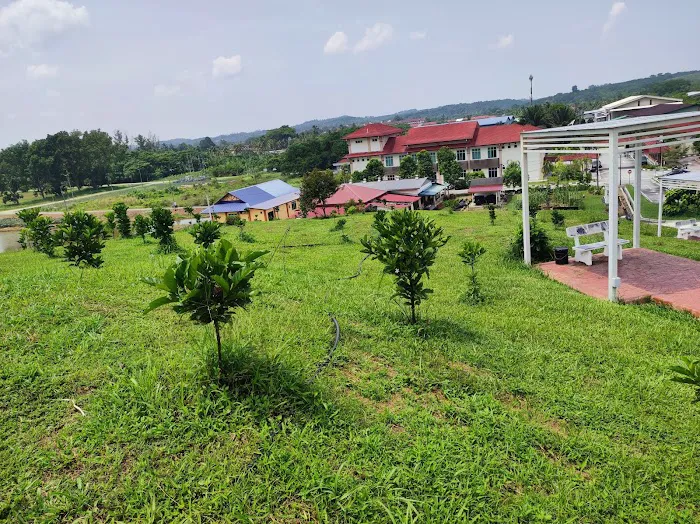 Bukit Kopi Kalumpang Picture 7