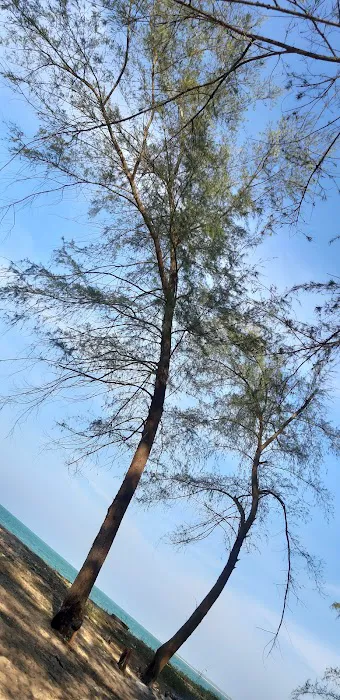 Pantai Seri Tujuh Beach Picture 7