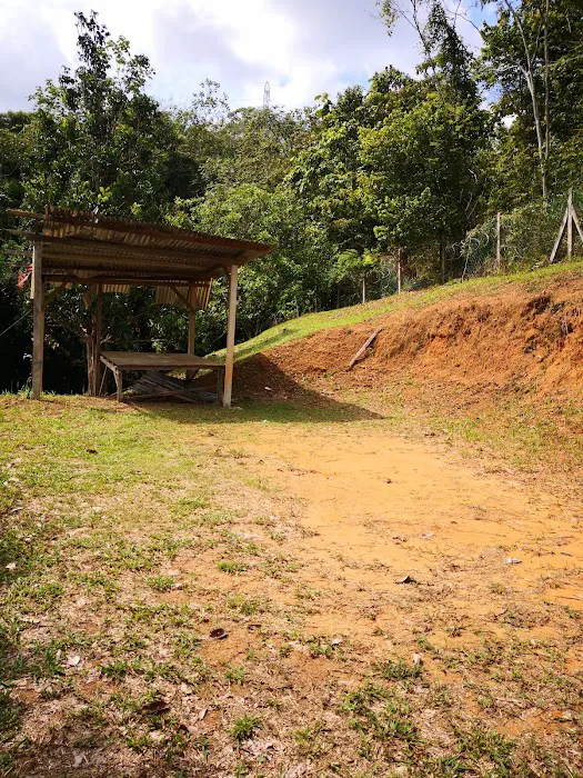 Puruh top point Picture 8