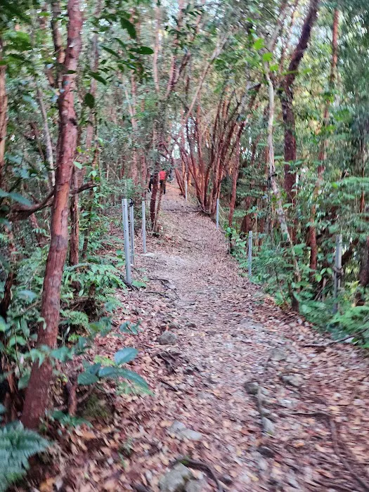 Bukit Batu Sawa Parking/Trailhead Picture 8