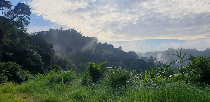 Bukit Batu Sawa Parking/Trailhead Picture 9