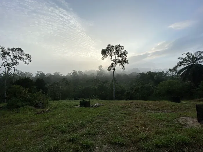 Bukit Batu Sawa Hilltop Picture 2