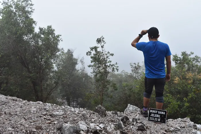 Bukit Batu Sawa Hilltop Picture 8