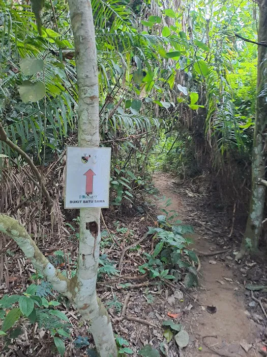 Bukit Batu Sawa Hilltop Picture 3