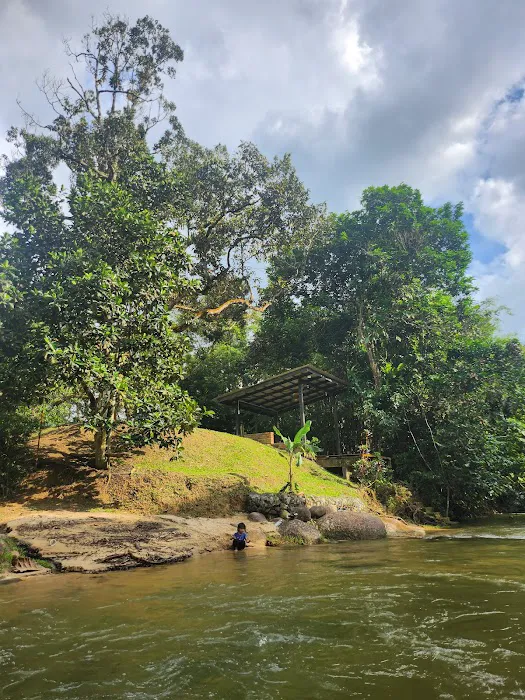 Tanah Kalumpang 13 - Picnic and camping ground - Open only on weekends and public holidays Picture 6