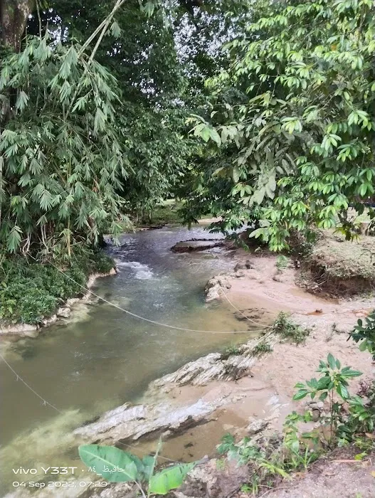 Kebun Lembah Inki Picture 9