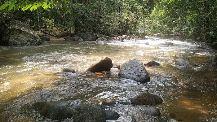 Kebun Lembah Inki Picture 10