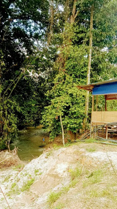 Kebun Lembah Inki Picture 1