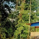 Kebun Lembah Inki