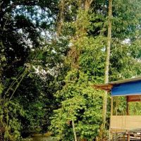 Kebun Lembah Inki ico