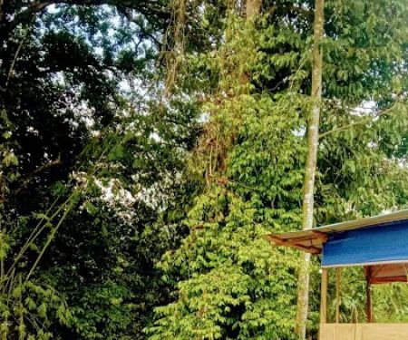 Kebun Lembah Inki