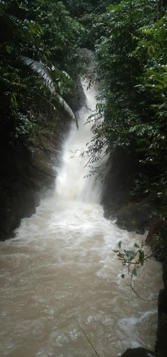 Bukit Empat Lima Lapan Picture 1