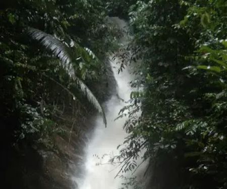 Bukit Empat Lima Lapan