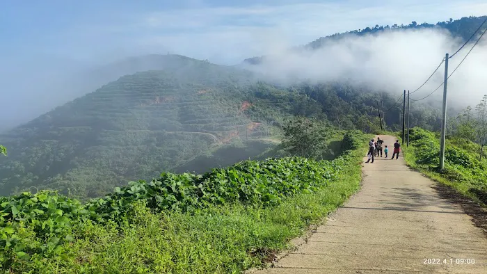 Bukit Salor Picture 3
