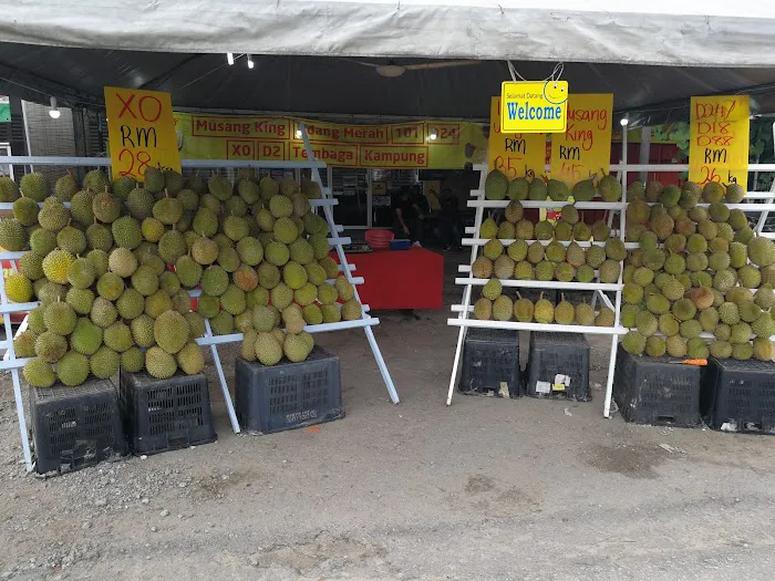 Durians Atok - Jalan Kebun Picture 3