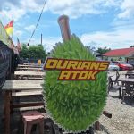 Durians Atok - Jalan Kebun