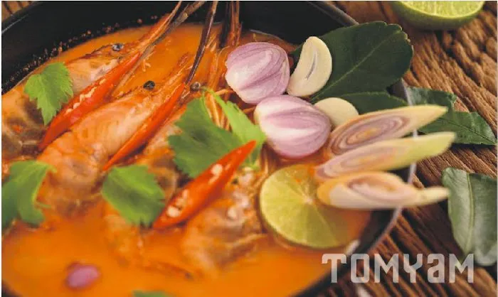 Alisha Tomyam Picture 4