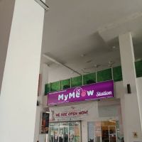 MyMeow Station ico