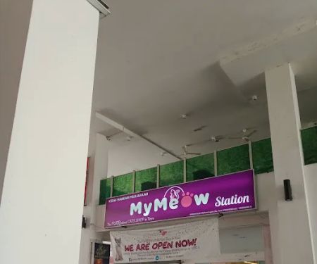 MyMeow Station