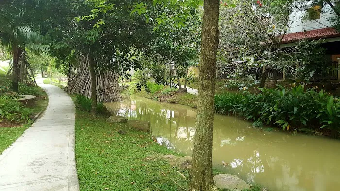 The Butterfly Creek Picture 6