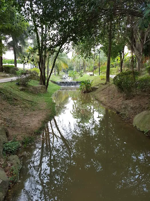 The Butterfly Creek Picture 7