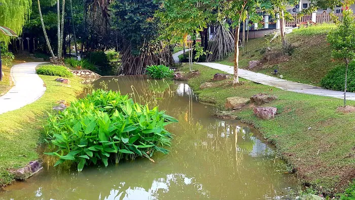 The Butterfly Creek Picture 3