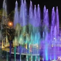 D'Network Musical Fountain ico