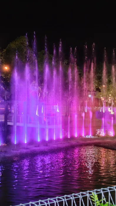 D'Network Musical Fountain Picture 4