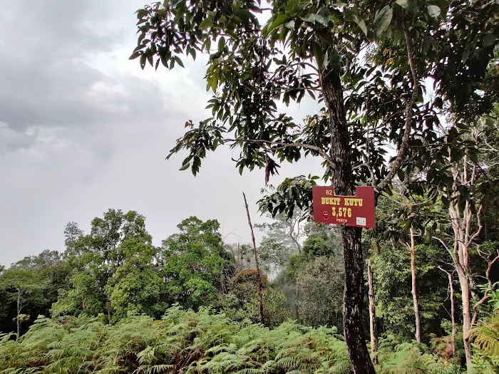 Bukit Kutu Picture 6