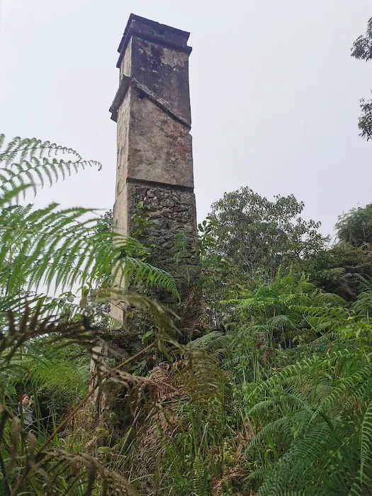 Bukit Kutu Picture 7