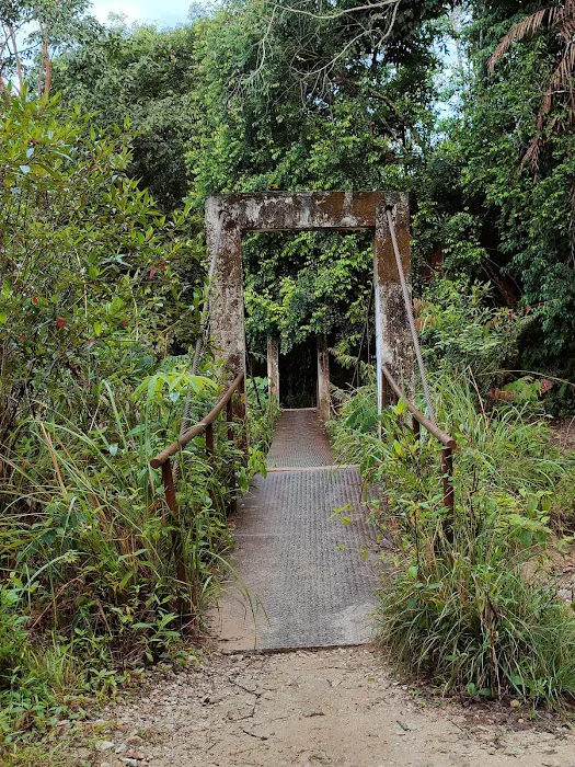 Bukit Kutu Picture 8