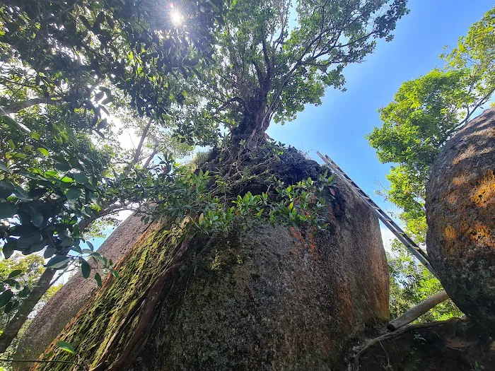 Bukit Kutu Picture 3