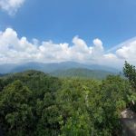 Bukit Kutu