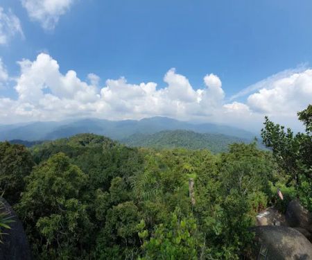 Bukit Kutu